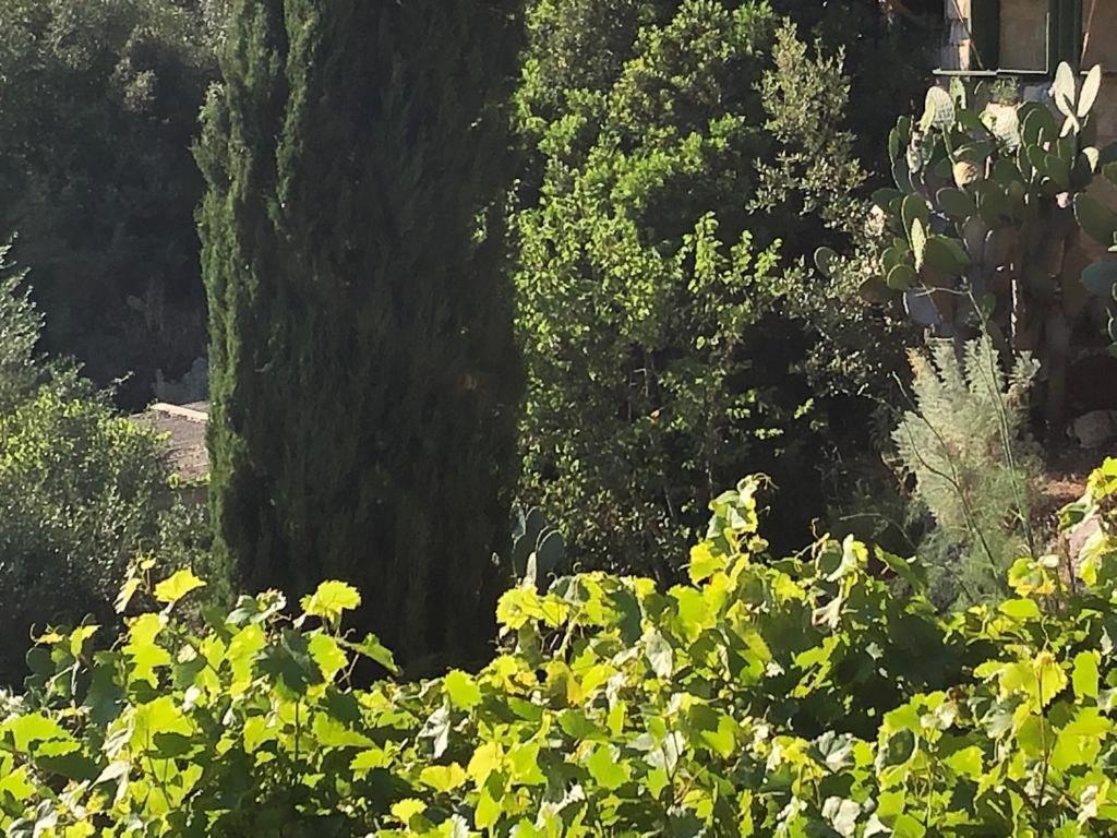 Vistalago Garden Doria Monteleone Rocca Doria Екстериор снимка