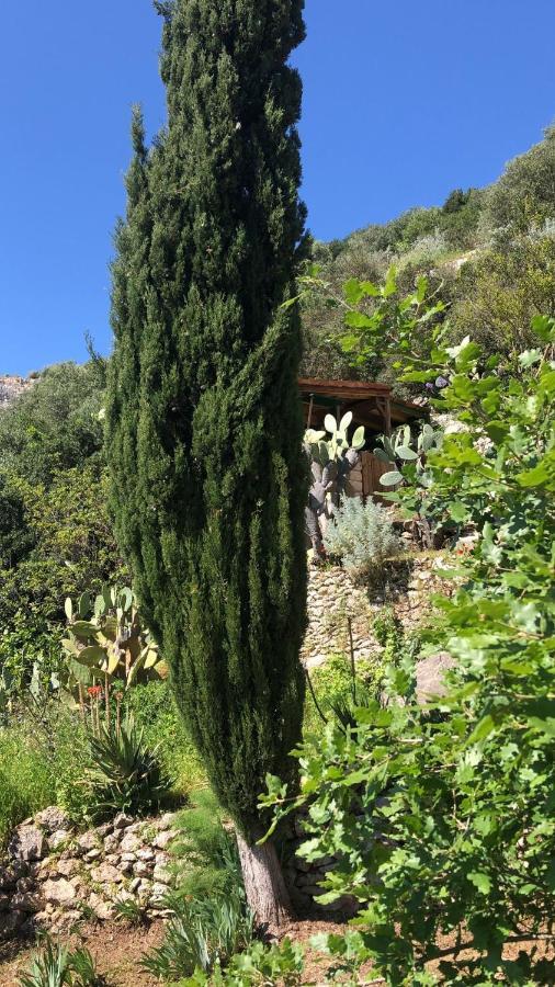 Vistalago Garden Doria Monteleone Rocca Doria Екстериор снимка