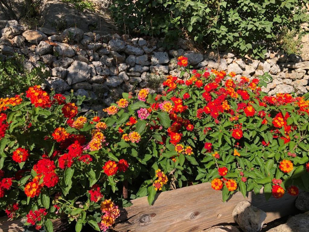 Vistalago Garden Doria Monteleone Rocca Doria Екстериор снимка